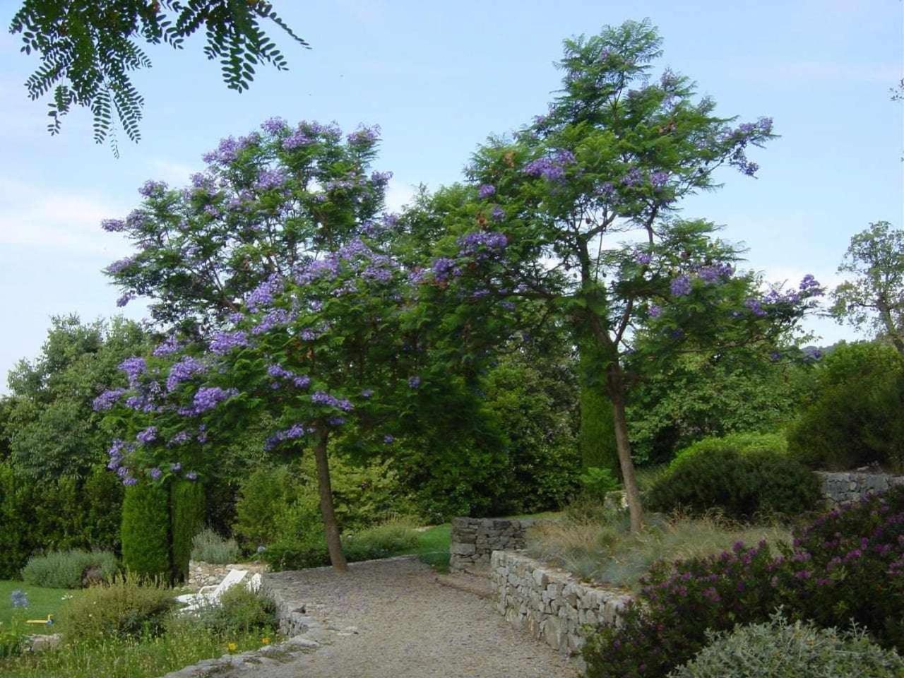 TianaCa Landreu Ecoturisme别墅 外观 照片